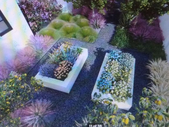CACTUS GARDEN & LANDSCAPING 