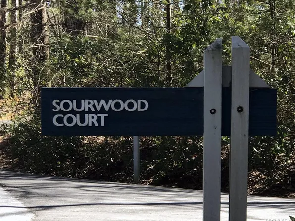 8 Sourwood Ct, Sapphire, NC 28774