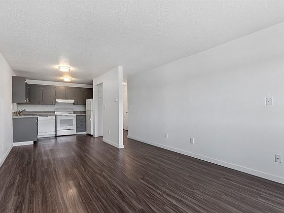 Spacious Kitchen and Living Space