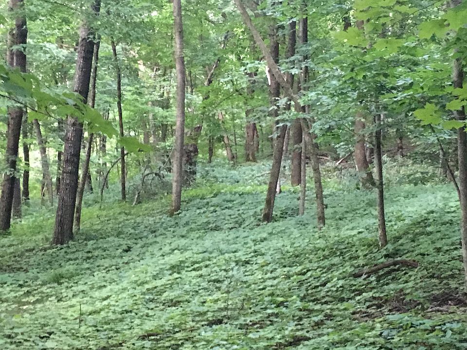 Flat plateau for home/yard