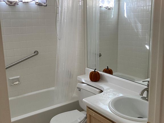 Hall/guest bathroom