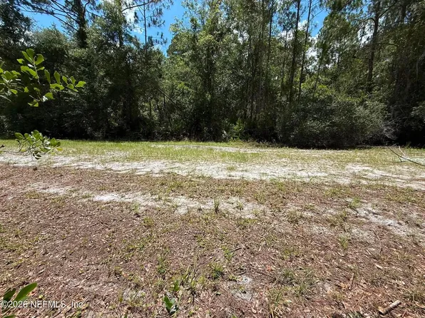 102 WILLOW Lane, Georgetown, FL 32139