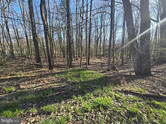 2nd image of 55 Smugglers Rd