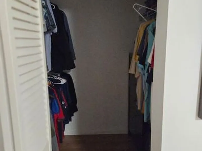 810 Sandtree Dr — Photo 10
