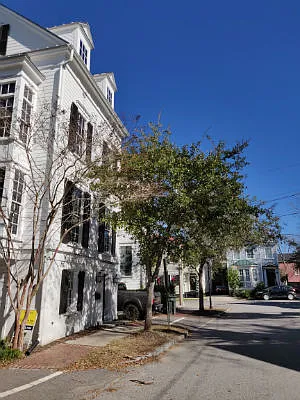 4 Marion St — Photo 18