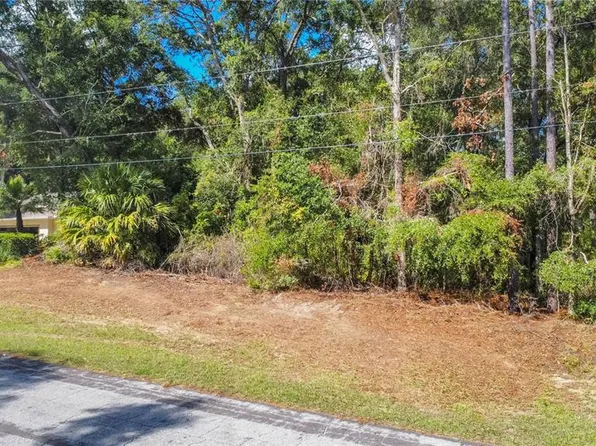 10157 N Athenia Dr Lot 14, Dunnellon, FL 34434