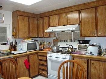 5th image of 2819 Moss Hollow Dr