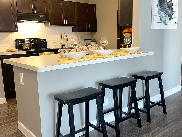 Iris Renovated Kitchen Model