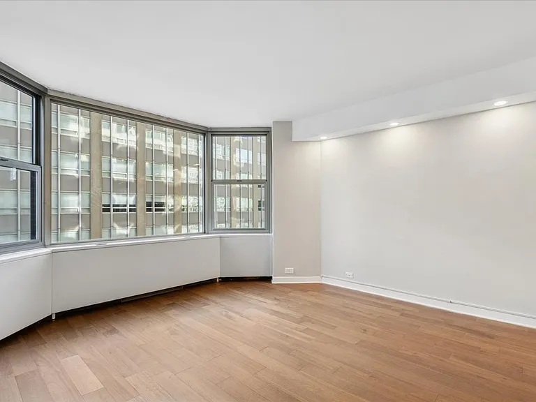 535 N Michigan Ave #2204 — Photo 11