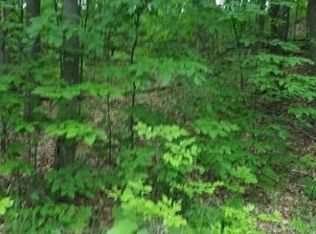 LOT 5 Wind Ridge Dr, Bellaire, MI 49615