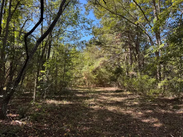 0 Clarks Hill Dr #1, Saint George, SC 29477