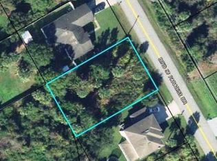 145 Bird Of Paradise Dr, Palm Coast, FL 32137
