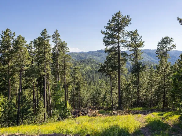 LOT 139 Paradise Gulch Ln, Lead, SD 57754