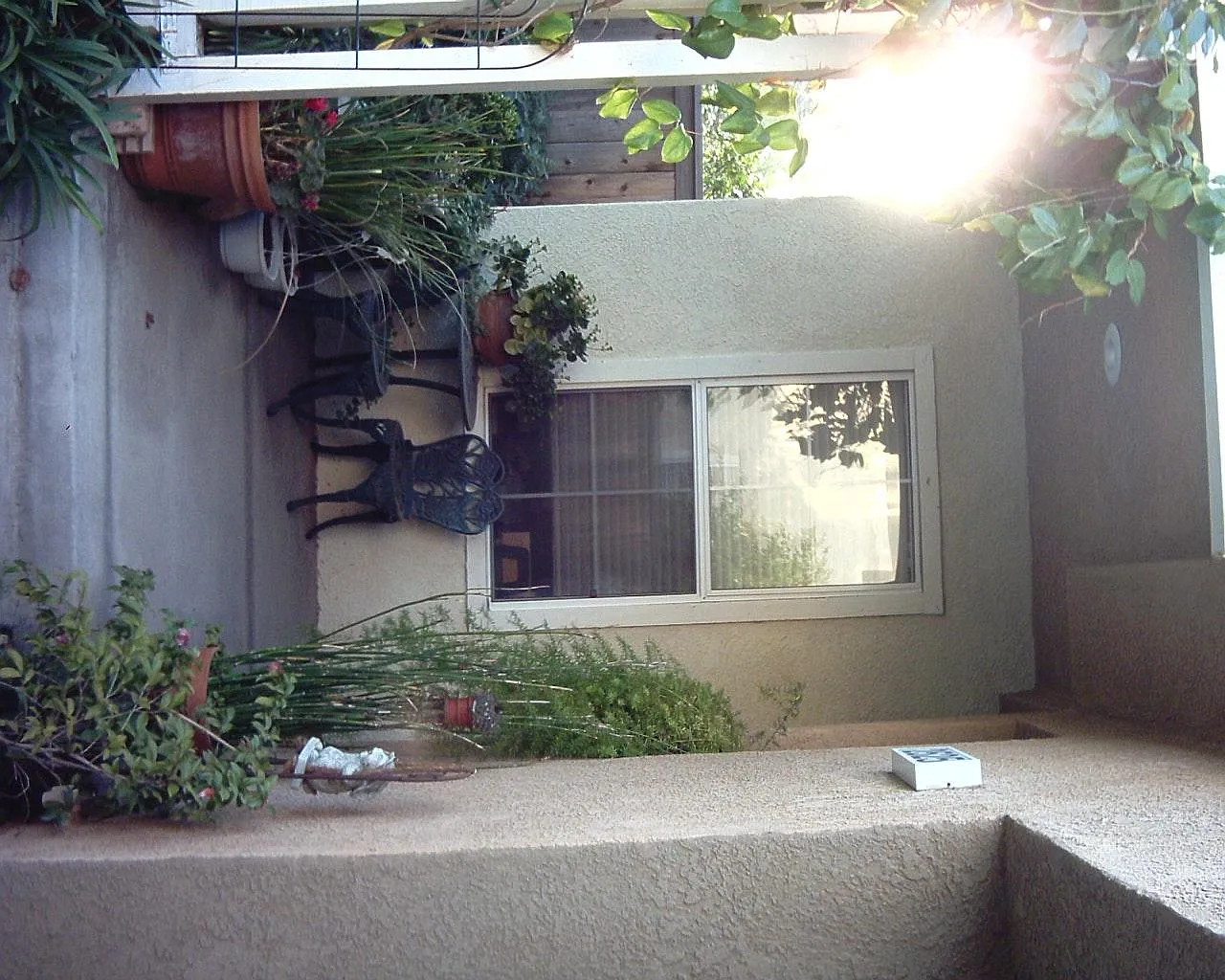 3 bed, 2.5 bath, 1914 sqft, $4,200 — Photo 2