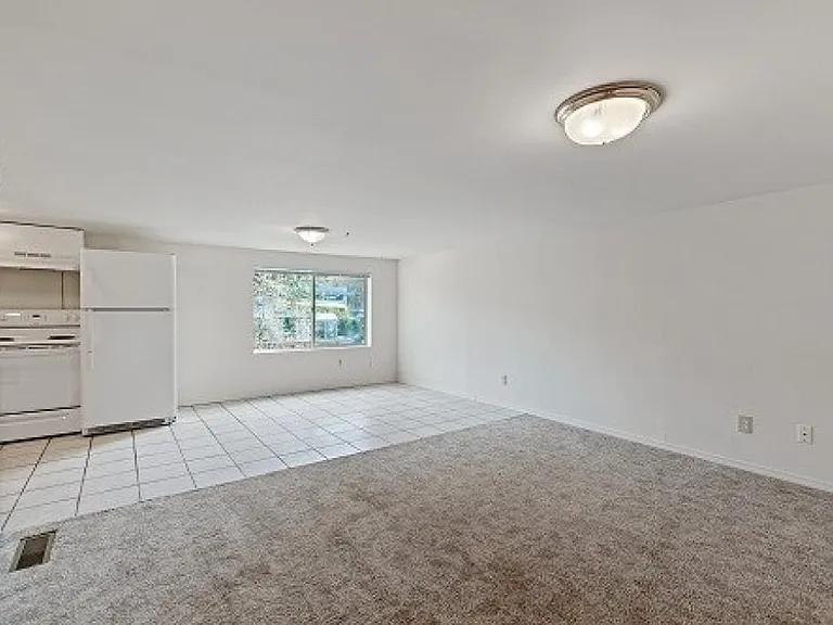 Living room / dining area