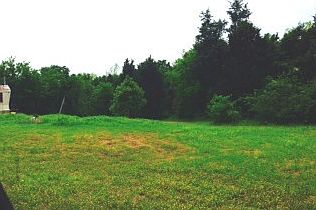 2nd image of 1308 E Northbrook Dr