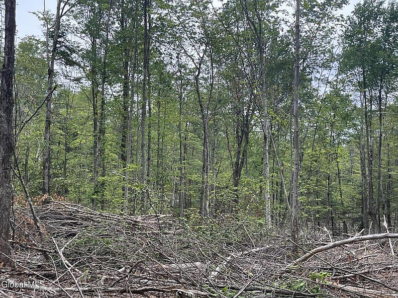 5th image of 172 Crandall Road