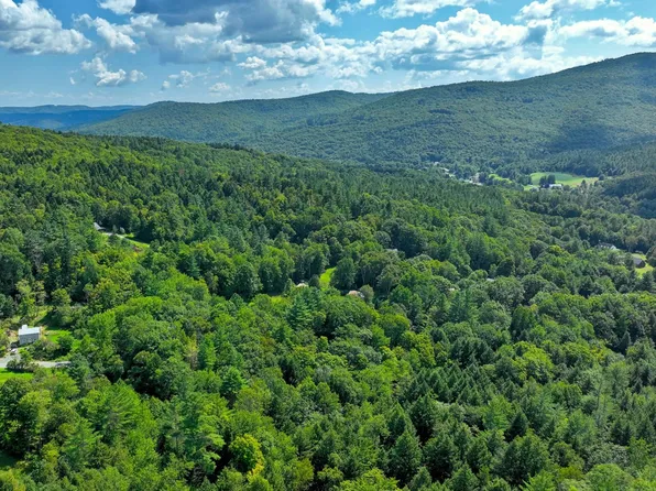 Goldcoast Road, Bridgewater, VT 05034