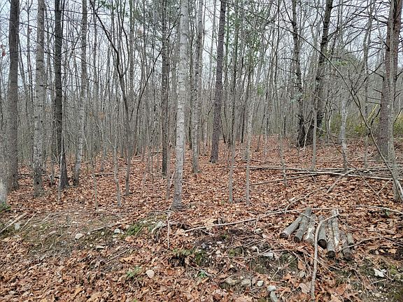 3rd image of 0 White Oak Ln