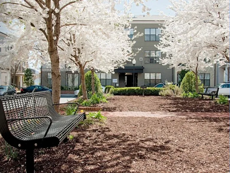 801 Walker Sq #3D — Photo 11