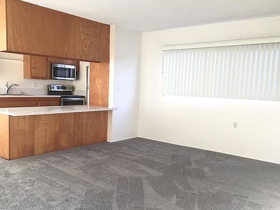 Large Living Room