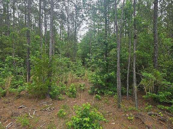 3rd image of 15386 Red Hawk Rd Lot 21