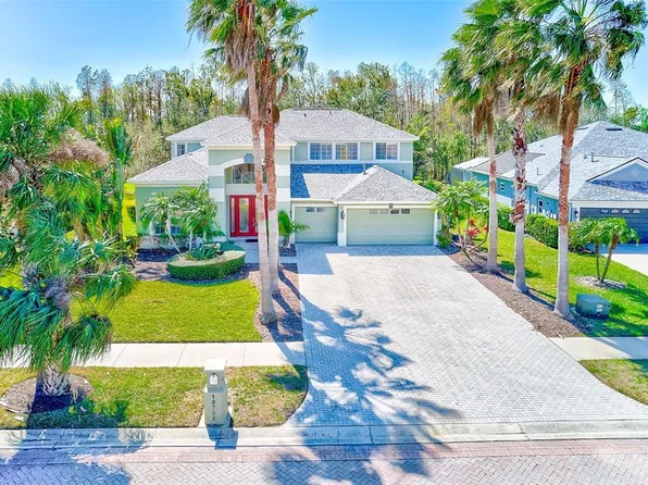 10708 Cory Lake Dr, Tampa, FL 33647