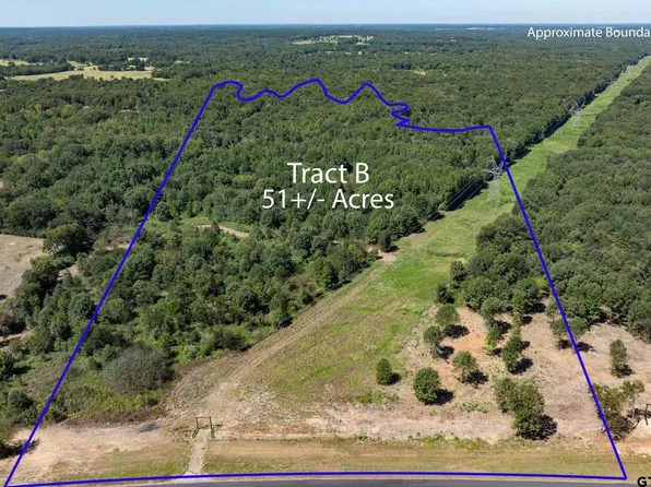 TRACT State Highway 69 #B, Mineola, TX 75773