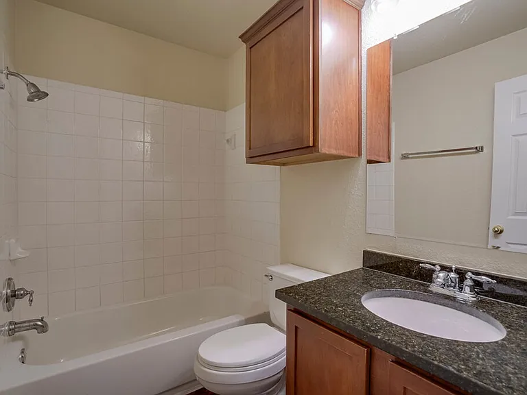 1313 Honey Blossom Dr — Photo 7
