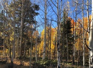 255 Antelope Rd, Leadville, CO 80461