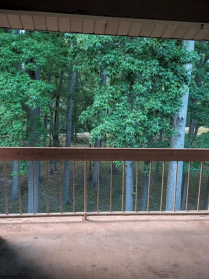 1 bed, 1.0 bath, 934 sqft, $1,850 — Photo 4
