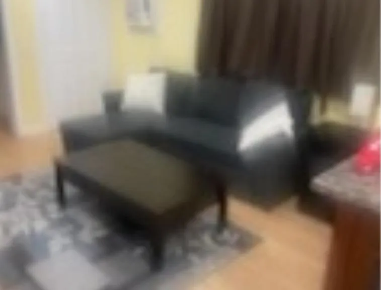 Main Room - the sectional sofa folds out into a full bed