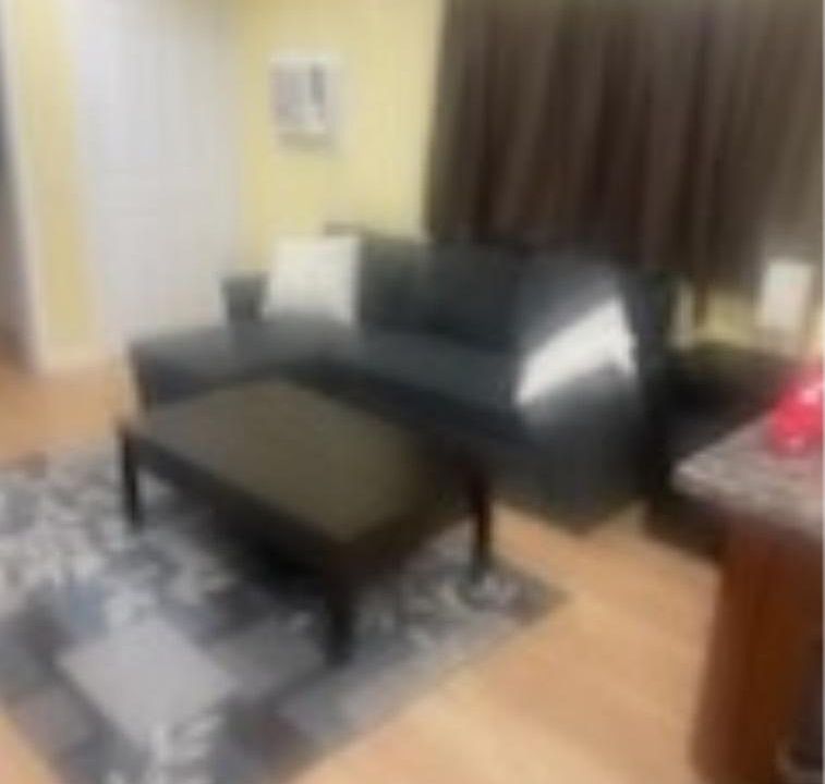 Main Room - the sectional sofa folds out into a full bed