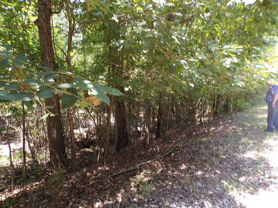 1st image of 166 Sandlewood Loop