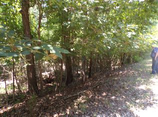 166 Sandlewood Loop, Avinger, TX 75630