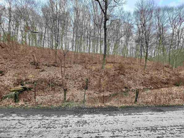 Coplin Run Rd, Bridgeport, WV 26330