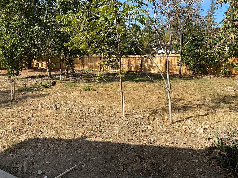 7349 Cross Dr — Photo 30