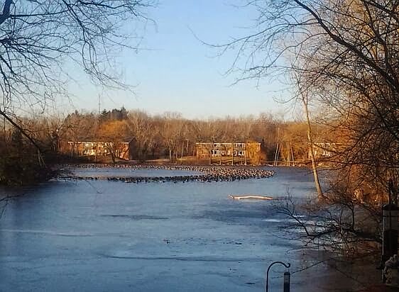 2nd image of 130 Heidel Rd