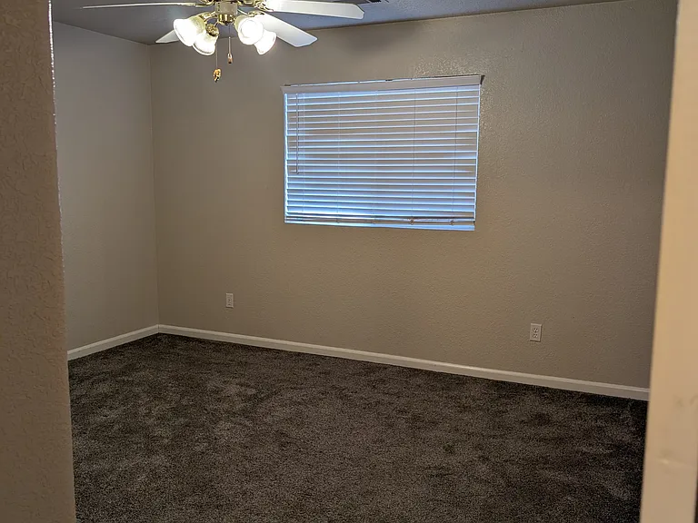 3604 Stingy Ln — Photo 11