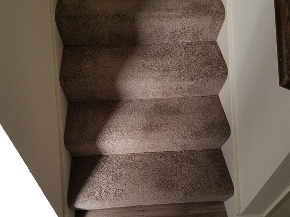 Brand new carpet