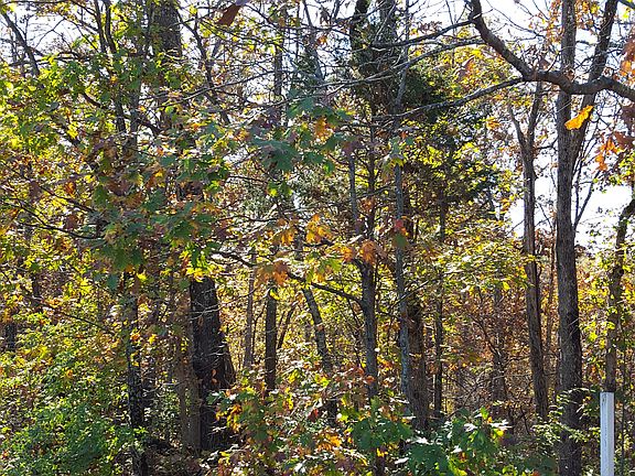 2nd image of 18641 Windy Hollow Ln #26Y320085