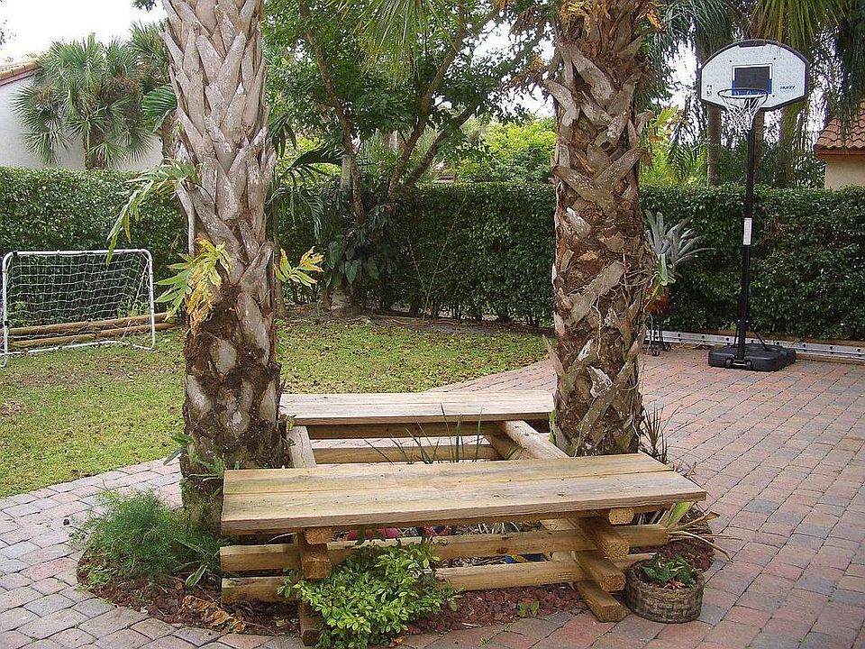 lush backyard