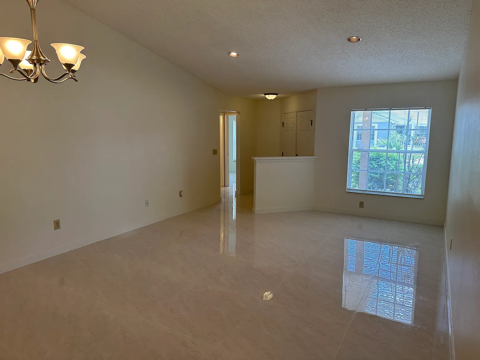 Lovely 3BR/2BA Home - Northwest Tampa — Photo 4