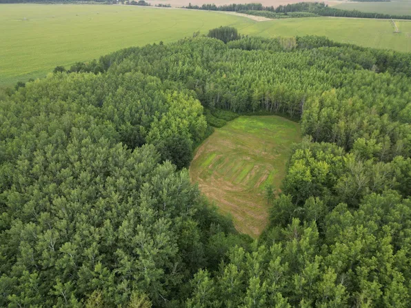 364th St, Menahga, MN 56464