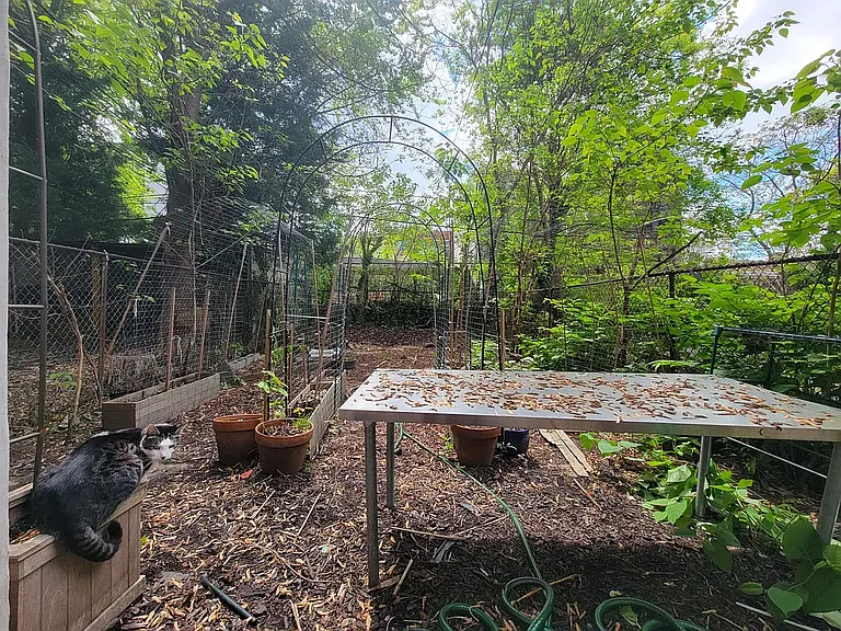 18 Hart St #1C — Photo 5