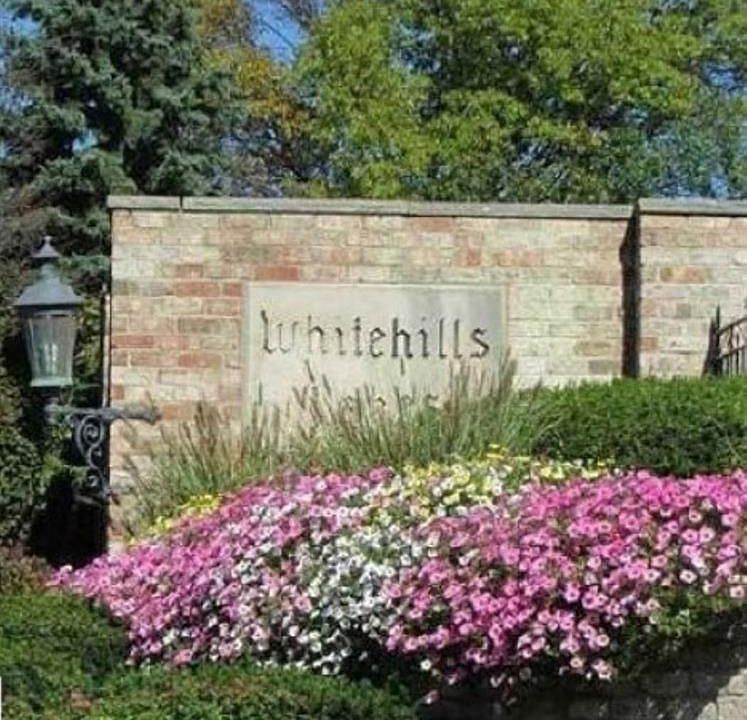 6160 E Whitehills Lakes Dr, East Lansing, MI 48823 MLS 5050105229