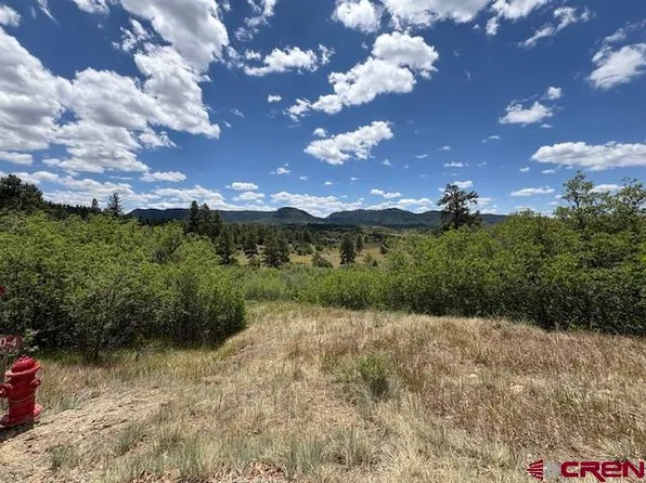 311 E Arbol Park Drive, Pagosa Springs, CO 81147