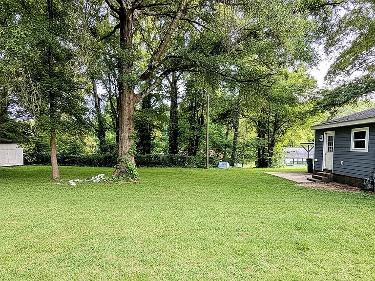 Backyard is a large open space that perfect for a family and summer nights.