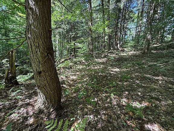 5th image of Co Route 47/beaver Creek Rd Lot Wp001