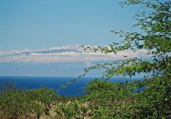 4th image of Puakea Dr Lot 214